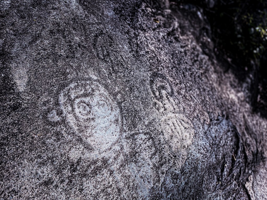 Hiking St. John’s Reef Bay Trail: Petroglyphs, Nature, and Human&nbsp;History