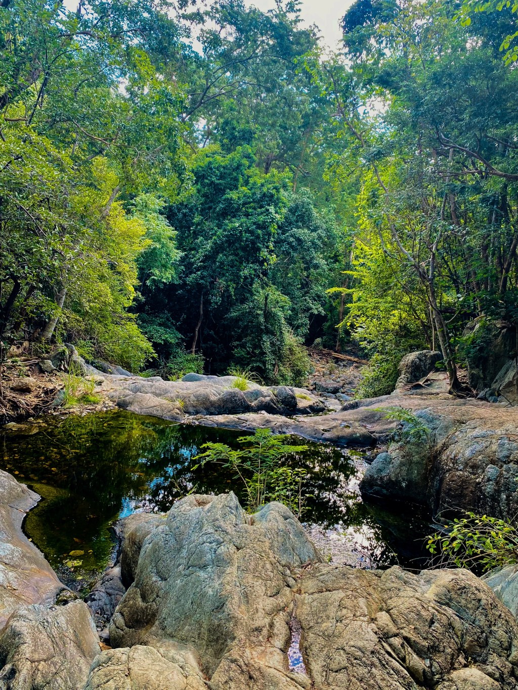 The Life Trek: Navigating Mindful Exploration and Minimalist&nbsp;Living